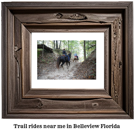 trail rides near me in Belleview, Florida